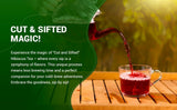 New Retails $80+ PREMIUM HERBS Hibiscus Tea 120 count| Hibiscus Tea Organic Flowers | Single Origin Source From Egypt | Great for Iced or Hot Brewed Herbal Green Tea | Caffeine Free 100% Natural Eco-Friendly Packaging