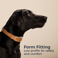 New Link AKC Smart Dog Collar - GPS Location Tracker, Activity Monitor, and More, Large Retails $150 US+