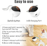 New Migipaws Interactive Cat Ball Toy Set, Fun Tracker, Automatic Rolling Chase Ball with Fluffy Tail, A Small Mice, Rechargeable（White）