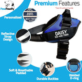 New Retails $32+ PawPawify No Pull Dog Harness, Heavy Duty Pet Vest to Prevent Tugging, Pulling, or Choking, Training and Walking (Blue, S (Chest 16-21in))
