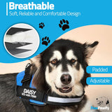 New Retails $32+ PawPawify No Pull Dog Harness, Heavy Duty Pet Vest to Prevent Tugging, Pulling, or Choking, Training and Walking (Blue, S (Chest 16-21in))