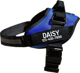 New Retails $32+ PawPawify No Pull Dog Harness, Heavy Duty Pet Vest to Prevent Tugging, Pulling, or Choking, Training and Walking (Blue, S (Chest 16-21in))