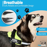 New Retails $32+ PawPawify No Pull Dog Harness, Heavy Duty Pet Vest to Prevent Tugging, Pulling, or Choking, Training and Walking (Green, XXL (Chest 36-42in))