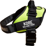 New Retails $32+ PawPawify No Pull Dog Harness, Heavy Duty Pet Vest to Prevent Tugging, Pulling, or Choking, Training and Walking (Green, XXL (Chest 36-42in))