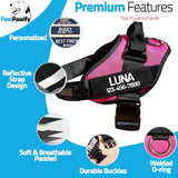 New Retails $32+ PawPawify No Pull Dog Harness, Heavy Duty Pet Vest to Prevent Tugging, Pulling, or Choking, Training and Walking (Pink, XXL (Chest 36-42in))