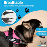 New Retails $32+ PawPawify No Pull Dog Harness, Heavy Duty Pet Vest to Prevent Tugging, Pulling, or Choking, Training and Walking (Pink, XXL (Chest 36-42in))