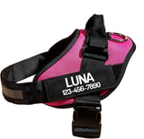 New Retails $32+ PawPawify No Pull Dog Harness, Heavy Duty Pet Vest to Prevent Tugging, Pulling, or Choking, Training and Walking (Pink, XXL (Chest 36-42in))