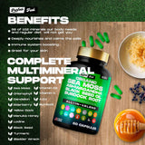 NEW Retails $140 Perfect Fuel Blend Organic Sea Moss & Shilajit BB: 06/26