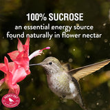 New Perky-Pet 231-12SFB 5.3 oz Original Red Instant Nectar! Makes 32 Fl oz of nectar, Just Add Water!