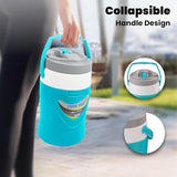 NEW Pinnacle's Platino 2 Litre Insulated Water Jug: Portable Lightweight Design for Cold Drinks |Collapsible Handle for Easy Carrying |Ideal for Travel, Camping, Beach | BPA Free