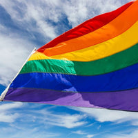 New Rhungift Rainbow | Gay Pride Flag - 5Ft X 3Ft Nylon Note: arrived with only 1 grommet hole