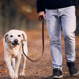 New Retails $30+ QUMY Leather Dog Leash 6ft, Heavy Duty Dog Training Leash for Large and Medium Dogs, Soft and Strong Genuine Leather Braided Handmade Long Lead Leash for Dog Training, Brown