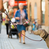 New Retails $30+ QUMY Leather Dog Leash 6ft, Heavy Duty Dog Training Leash for Large and Medium Dogs, Soft and Strong Genuine Leather Braided Handmade Long Lead Leash for Dog Training, Brown