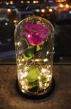 New Forever Rose with fairy lights in dome, battery operated