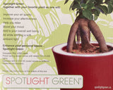 NEW Spotlight Green Planter, Light Up Planter, Flower Pot, Indoor W/ LED Light