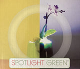 NEW Spotlight Green Planter, Light Up Planter, Flower Pot, Indoor W/ LED Light