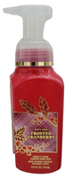 NEW Bath & Body Works Frosted Cranberry Gentle & Clean Foaming Hand Soap, 8.75 Oz