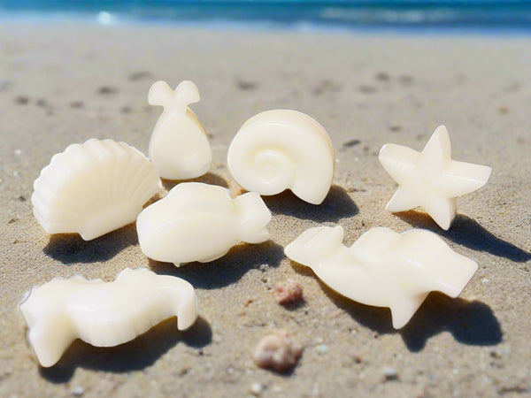 New Salty Girl Co. Palm Blend Wax Melts "Sea Life" 3.9 Oz, Fresh & Fruity Scent, for use in wax warmer