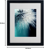 New Retails $79+ Trademark Fine Art Morning Sonata Artwork by Beata Czyzowska Young, 16 by 20-Inch, Black Frame