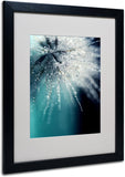 New Retails $79+ Trademark Fine Art Morning Sonata Artwork by Beata Czyzowska Young, 16 by 20-Inch, Black Frame