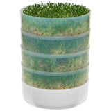 New, Kitchen Crop 2-Tray Sprouter by Victorio! Grow fresh sprouts in 3-5 days with no sun, no soil! Sprouts have amazing health benefits compared to regular vegetables! Seeds not included