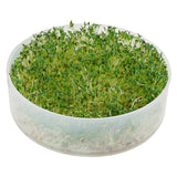 New, Kitchen Crop 2-Tray Sprouter by Victorio! Grow fresh sprouts in 3-5 days with no sun, no soil! Sprouts have amazing health benefits compared to regular vegetables! Seeds not included