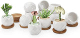 New Set of 12 Succulent Plant Pots, 2.5 inch Circular Pattern Ceramic Planters with Bamboo Tray, Small Succulent Pots Indoor (Planters with trays Only! Plants NOT Included)