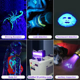 New UV Flashlight Rechargeable 395nm Black Light for Pet Urine Detection, USB - C Portable Blacklight Mini Powerful Woods Lamp LED Ultra Violet Flashlights uv for Resin Curing, Leak Detection, Travel