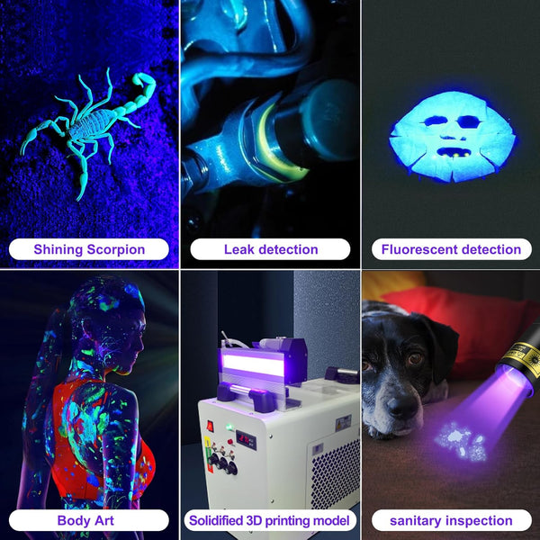 New UV Flashlight Rechargeable 395nm Black Light for Pet Urine Detection, USB - C Portable Blacklight Mini Powerful Woods Lamp LED Ultra Violet Flashlights uv for Resin Curing, Leak Detection, Travel