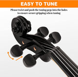 New Vangoa Silent Electric Solid Wood Metallic Black Violin Full Size 4/4, Ebony Fittings, Beginner Kit for Adults Teens, includes manual & hard case