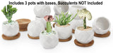 New Set of 3 Succulent Plant Pots, 2.5 inch Circular Pattern Ceramic Planters with Bamboo Tray, Small Succulent Pots Indoor (Seeds & Plants NOT Included)
