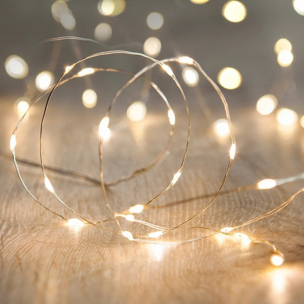 Warm White 20 LED String Lights - 80", Use Indoors or Out, Battery Operated, Timer!