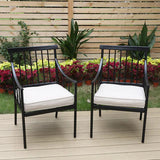 Wayfair Item! PHI VILLA 2-Piece Stylish Steel Patio Outdoor Dining Chairs Set - Retails $320US+