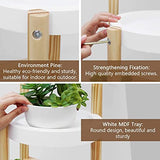 Welland Pine 3 Tier Corner Plant Stand Tall Indoor Plant Holders Plant Display Rack for Home Garden - Retails $75+