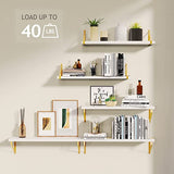 Amada White Floating Shelves Wall Mounted Set of 2, Modern Wall Shelf with Golden Metal Brackets, Perfect Decoration Display Faux Wood Shelves for Bedroom, Bathroom, Living Room, etc