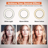 New in box! UBeesize 8" Selfie Ring Light with Mini Tripod Stand & Cell Phone Holder for Live Stream/Makeup, Mini Led Camera Ringlight for YouTube Video/Photography Compatible with iPhone Xs Max XR Android