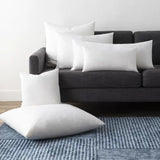Wayfair Item! Birch Lane Dominika Premium Down Lumbar Pillow Inserts (13x20), includes 2, Retails $90+ on sale
