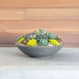 New Amazing Large Veradek LANE BOWL planter – 32 inch Diameter Grey! Quite Large, much larger than pic shows, nearly 3 feet in diameter! Also great as a fountain! Retails $110+