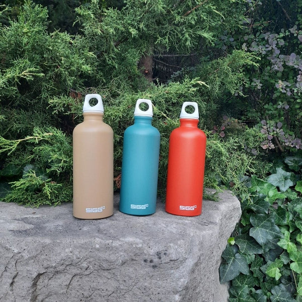 NEW SWISS SIGG ELEMENTS METAL WATER BOTTLE, SWITZERLAND MADE, .6 Litre LEAK PROOF, SCREW TOP LID! RETAILS $28 Your Choice of Orange, Blue or Brown