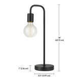 Anarosa 18" Desk Lamp by Trent Austin Designs! Product of Canada! Great for any room! Switch the bulbs for different looks!
