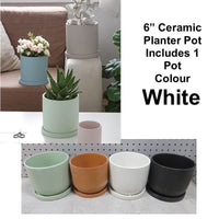 NEW 6" CERAMIC FLOWER/PLANT POT IN WHITE!