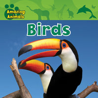 Brand new Amazing Animals Birds Paperback! 48 Pages! Ages 7-10