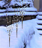 Brand new no package! Set of 3 Flexible LED Twig Branches, plug in! Cool white light! Use Indoors or out!