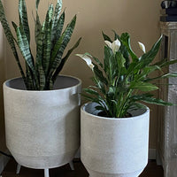 FirsTime & Co. Buena Vista Planter 2-Piece Set, American Crafted, Aged White, Indoor/Outdoor, 14 & 19", Retails $162+