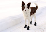 Brand new in package! Canine Equipment Ultimate Trail Dog Boots, X-Large, Black! Retails $70+