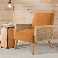 Delphine Cane upholstered Accent Chair with Tapered Leg, stunning, handcrafted rattan construction with solid wood! Retails $417+
