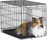 New World 30 INCH Folding Metal Dog Crate, Includes Leak-Proof Plastic Tray; Dog Crate Measures 30L x 19W x 21H Inches, for Medium Dog Breeds