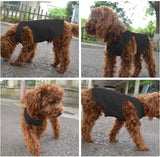 YAODHAOD Cotton Dog Clothes Solid Color Dog T-Shirts Clothes, Cotton Shirts Soft and Breathable, Dog Shirts Apparel Fit for Small Extra Small Medium Dog Cat 2pcs (M, Black+Grey)