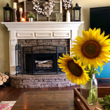 New Wayfair Dombrowski 5 Piece Wood Fireplace Set by Ophelia & co. Retails $124+