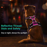New Eagloo Dog Harness No Pull, Walking Pet Harness with 2 Metal Rings and Handle Adjustable Reflective Breathable Oxford Soft Vest Easy Control Front Clip Harness, Sz S!